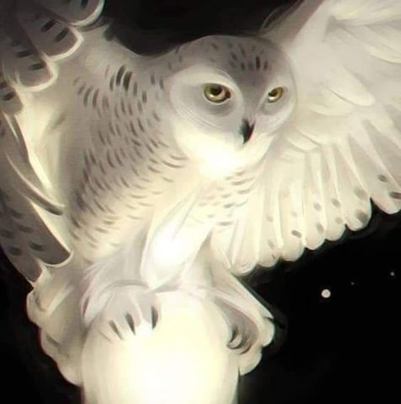 Meet your Posher, Wendy - Picture 1 of 1